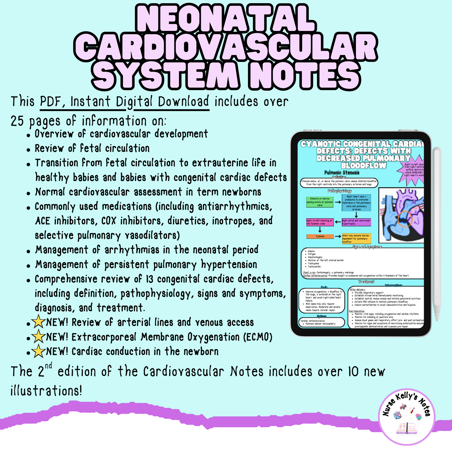 Newborn Cardiovascular Notes: Instant Digital Download | Visual Learning Resource, Study Guide, Survival Guide, Masterclass for NICU RNs