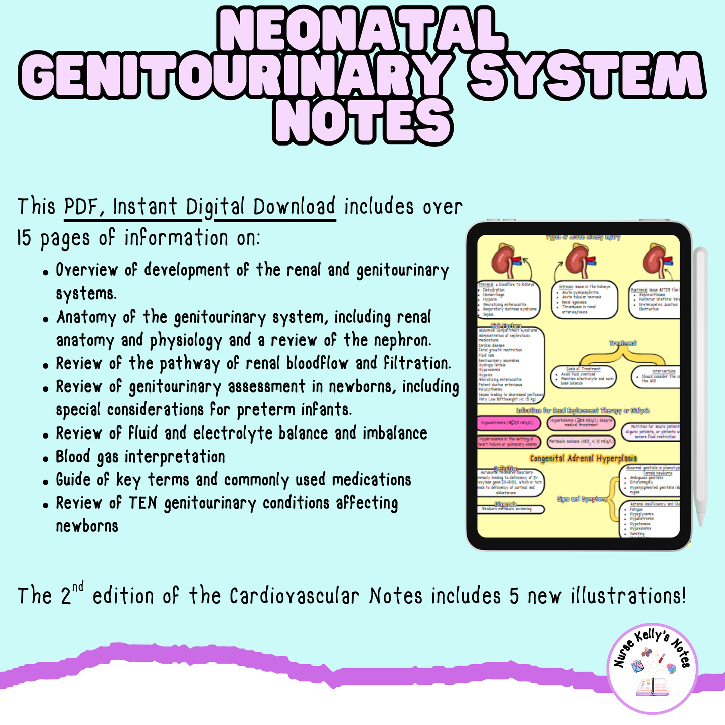 Newborn Renal and Genitourinary Notes: Instant Download | Visual Learning Resource, Study Guide, Survival Guide, Masterclass for NICU RNs