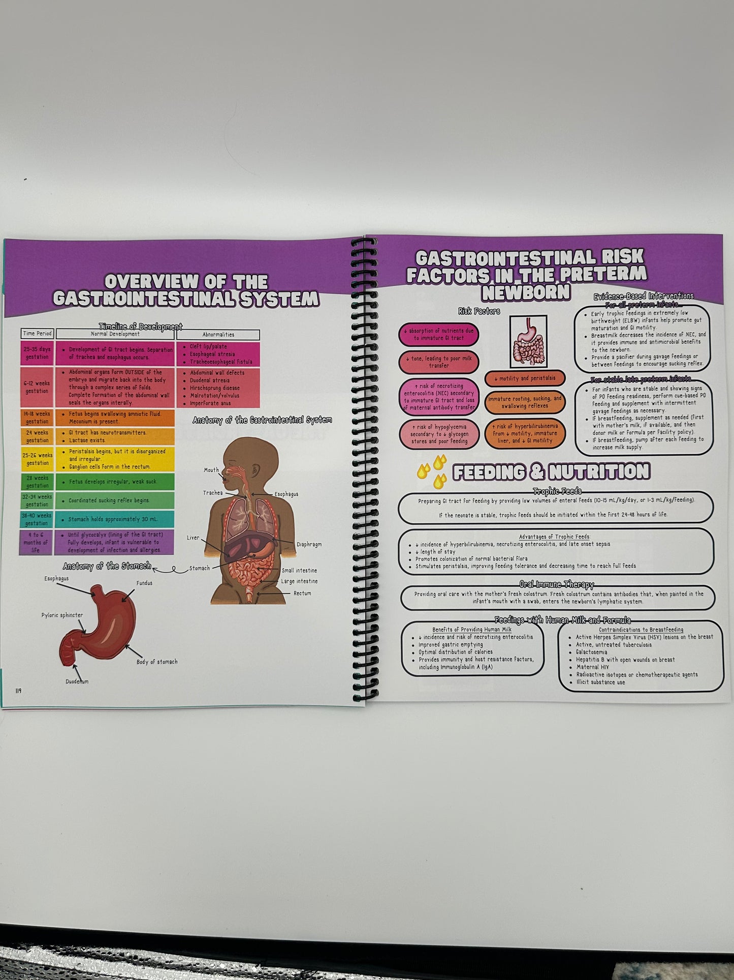 Neonatal Intensive Care Nursing Bundle: Hard Copy, Spiral-Bound Book | Visual Survival Guide, Masterclass, Certification Prep for NICU RNs