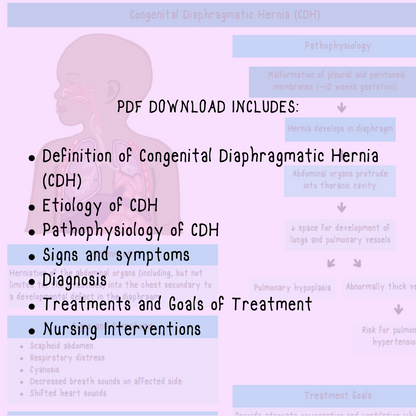 Congenital Diaphragmatic Hernia Notes | Study Guides for Nurses and Nursing Students