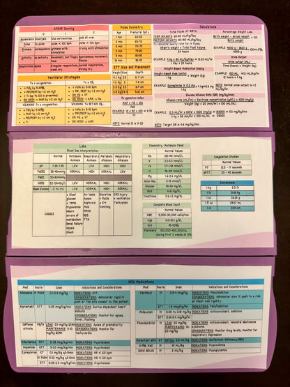 NICU Nursing Stickers for Clipboard (3 Small Stickers) | Neonatal Resources for Visual LeaRNers