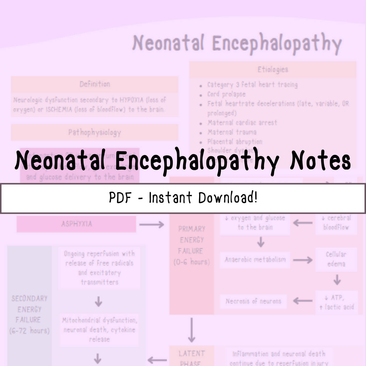 Neonatal Encephalopathy Nursing Notes | Visual Study Guides for Current and Future NICU Nurses