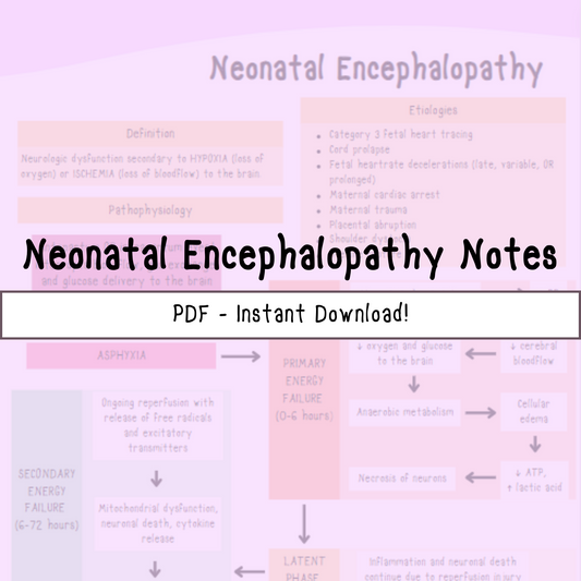 Neonatal Encephalopathy Nursing Notes | Visual Study Guides for Current and Future NICU Nurses