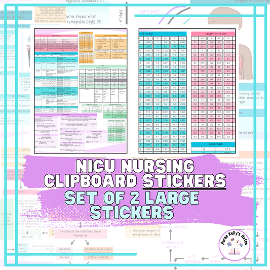 NICU Nursing Stickers for Clipboard (2 Large Stickers) | Neonatal Resources for Visual LeaRNers