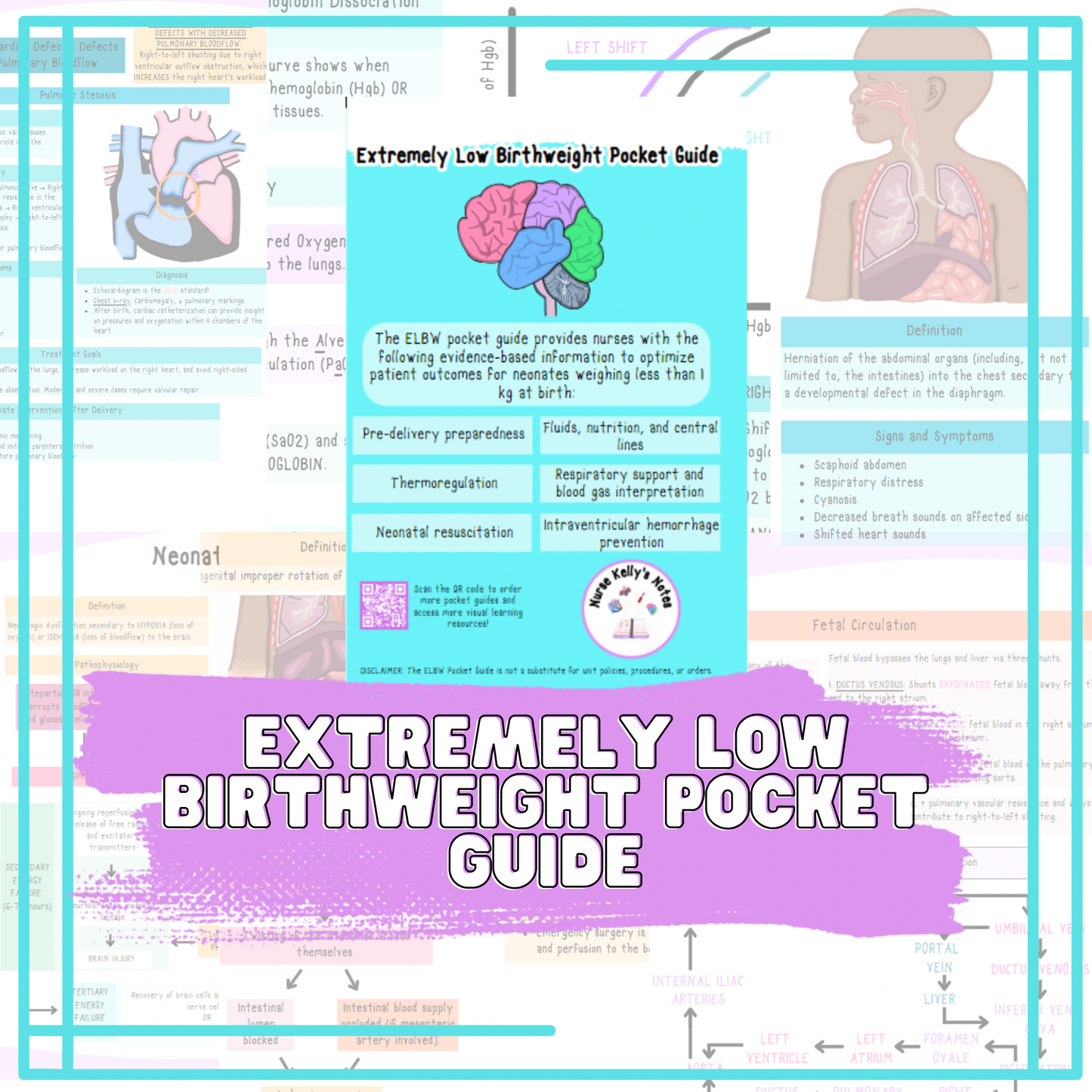 Extremely Low Birthweight Pocket Guide | NICU Nursing Reference for Students, New-to-Specialty Nurses, Preceptors, and Experienced RNs