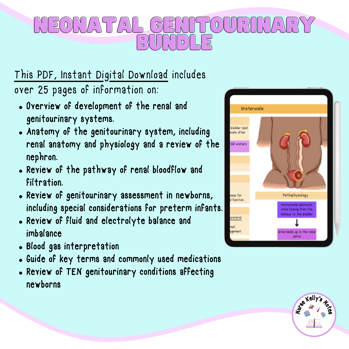 Newborn Renal and Genitourinary Bundle | Study Guides for RNs and Nursing Students