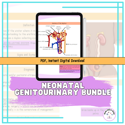 Newborn Renal and Genitourinary Bundle | Study Guides for RNs and Nursing Students