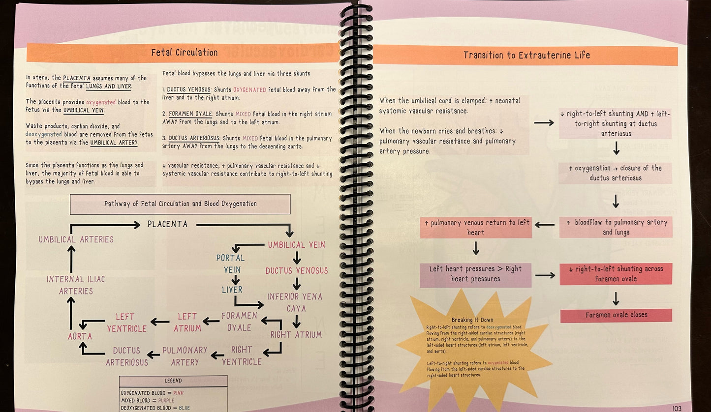 Nurse Kelly's Notes Neonatal Intensive Care Nursing Bundle: Visual Learning Resources for NICU RNs/Students