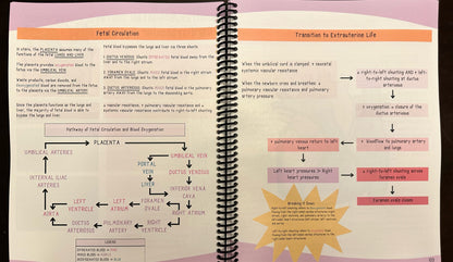 Nurse Kelly's Notes Neonatal Intensive Care Nursing Bundle: Visual Learning Resources for NICU RNs/Students